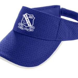 KC Visor
