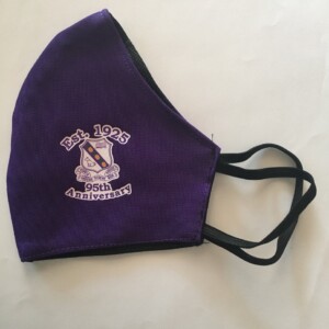Fortis 1925 Mask - Purple